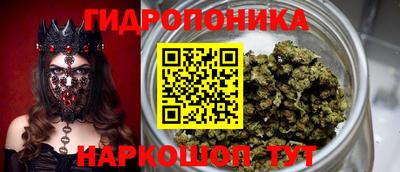 бошки Будённовск